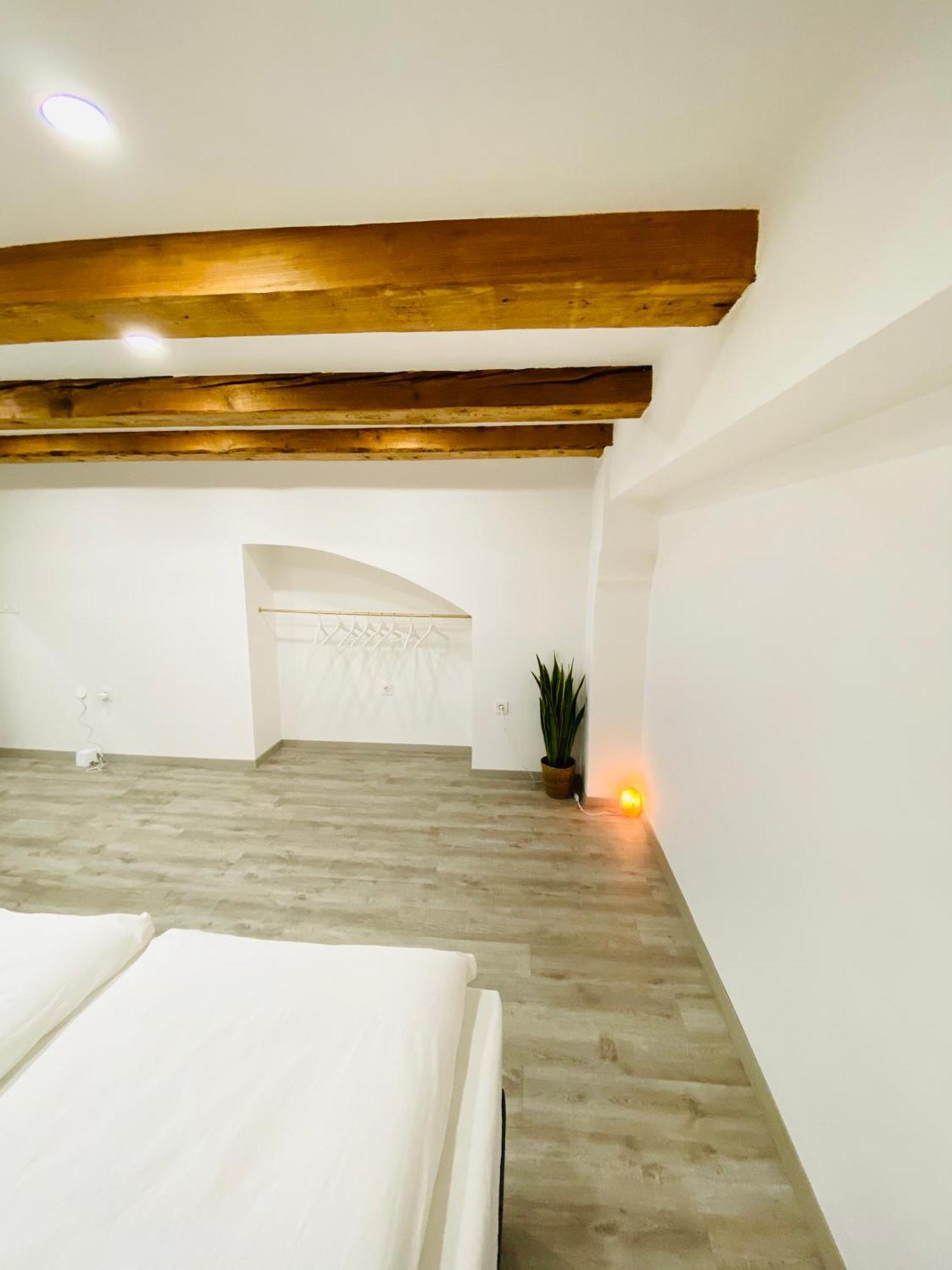 Jungle Loft - Central/Free Parking Laibach Exterior foto